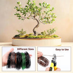5 Roll Bonsai Wires, Anodized Aluminum Bonsai Training Wire with Wire Cutter, 3 Colors and 3 Sizes (1mm, 1.5mm, 2mm), Total 160 Feet, Aluminum Wires for Indoor Garden Small Trunks DIY Tools