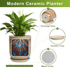 12 Inch Pots for Plants - Ceramic Planters for Indoor Plants, Large Planter Pot for Home Garden Patio Office with Drainage Hole Cylinder Flower Pot Yellow