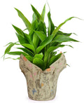 Premium 4.5” STD Plant Pot Covers, Decorative Plant Sleeve for Indoor & Outdoor House Plants, Reusable and Gift-Ready for Flower Pots, Green-Print, Pack of 5