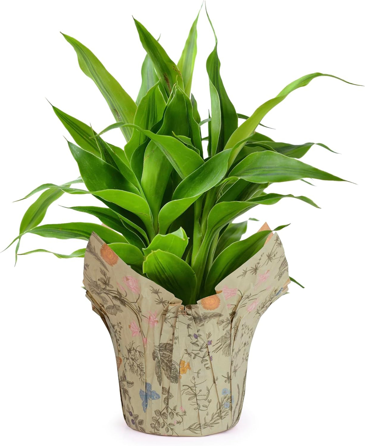 Premium 4.5” STD Plant Pot Covers, Decorative Plant Sleeve for Indoor & Outdoor House Plants, Reusable and Gift-Ready for Flower Pots, Green-Print, Pack of 5