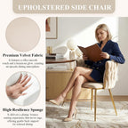 Modern Hand Weaving Dining Chairs Set of 2, Velvet Upholstered Dining Room Chairs with Gold Legs, Elegant Side Chair with Curved Backrest, Accent Chair for Dining Room, Kitchen (Ivory)