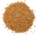 Food to Live Organic Alfalfa Seeds for Sprouting, 12 Ounces - Non-GMO, Edible Seeds, Pure, Kosher, Bulk. Rich in Vitamin K & C. High Germitation Rate. Grow Sprouts & Microgreens for Salads, Rolls