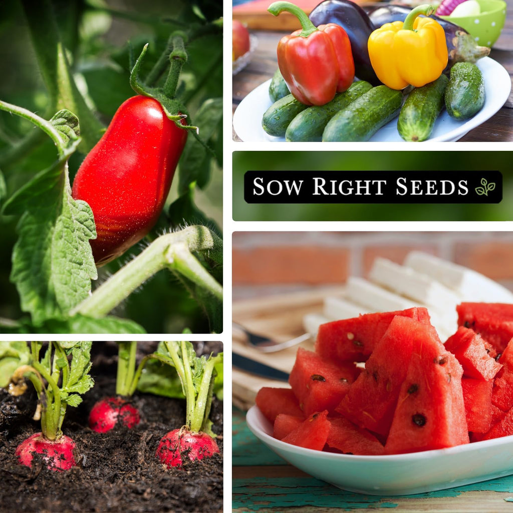 Sow Right Seeds - Classic Vegetable Garden Seed Collection for Planting - Non-GMO Heirloom Broccoli, Cabbage, Carrot, Cucumber, Kale, Lettuce, Tomato, Peppers, Zucchini, and More