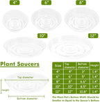 Plant Saucer 40 Pack Plant Trays for Pots 8 Inch Plastic Plant Saucers for Outdoors and Indoors Clear Drip Trays for Potted Plants Flower Pot Plates to Catch Water Plant Drainage Dishes No Holes