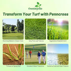 Outsidepride PC2.0 (Penncross) Creeping Bent Grass Seed – 25 lbs. Premium Golf Course Grade, Dense, Wear-Resistant Turf Grass Seeds for Tees, Putting Greens & Fairways, Ideal for High Traffic Areas