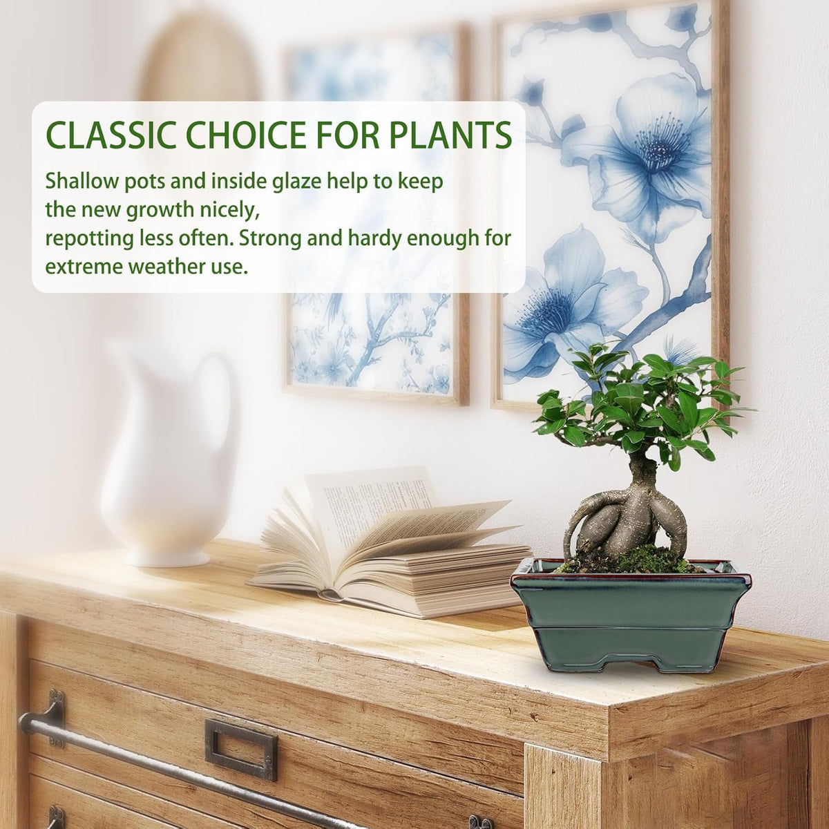 Ceramic Bonsai Pots with Drainage Hole Set of 2, Green Glazed Bonsai Planters for Indoor/Outdoor Use, Rectangular Shallow Bonzai Tree Pot for Succulent, Orchids, Cacti, Home, Patio, Garden, 6.3"x4.9"
