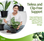 Twigs - Monstera Plant Support Stakes for Indoor & Outdoor Plants, Gardening Supplies, Garden Accessories, Trellis, Moss Pole, & Ring Alternative - Monstera (Dark Green), 10 Pack, 12" L, Mini Twigs