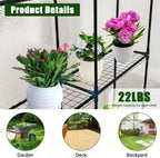 Greenhouse for Outdoors,Walk in 3-Tier 6 Shelves Green House w/ Roll-Up Zippered Door Anchors and Ropes,Waterproof & UV Protected Plant Garden Hot House for Garden Patio Backyard,57 x 57 x 76''