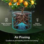 VIVOSUN 5-Pack 7 Gallon Grow Bags, 500G Thick Nonwoven Fabric Pots with Strap Handles, Multi-Purpose Rings, for Low Stress Plant Training Fruits, Vegetables, and Flowers