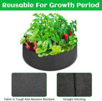 2 Pack Large 50 Gallon Plant Grow Bags, Round Black Fabric Raised Garden Beds, Durable Garden Planter Cloth Pots Container to Grow Vegetables for Outdoor Plants
