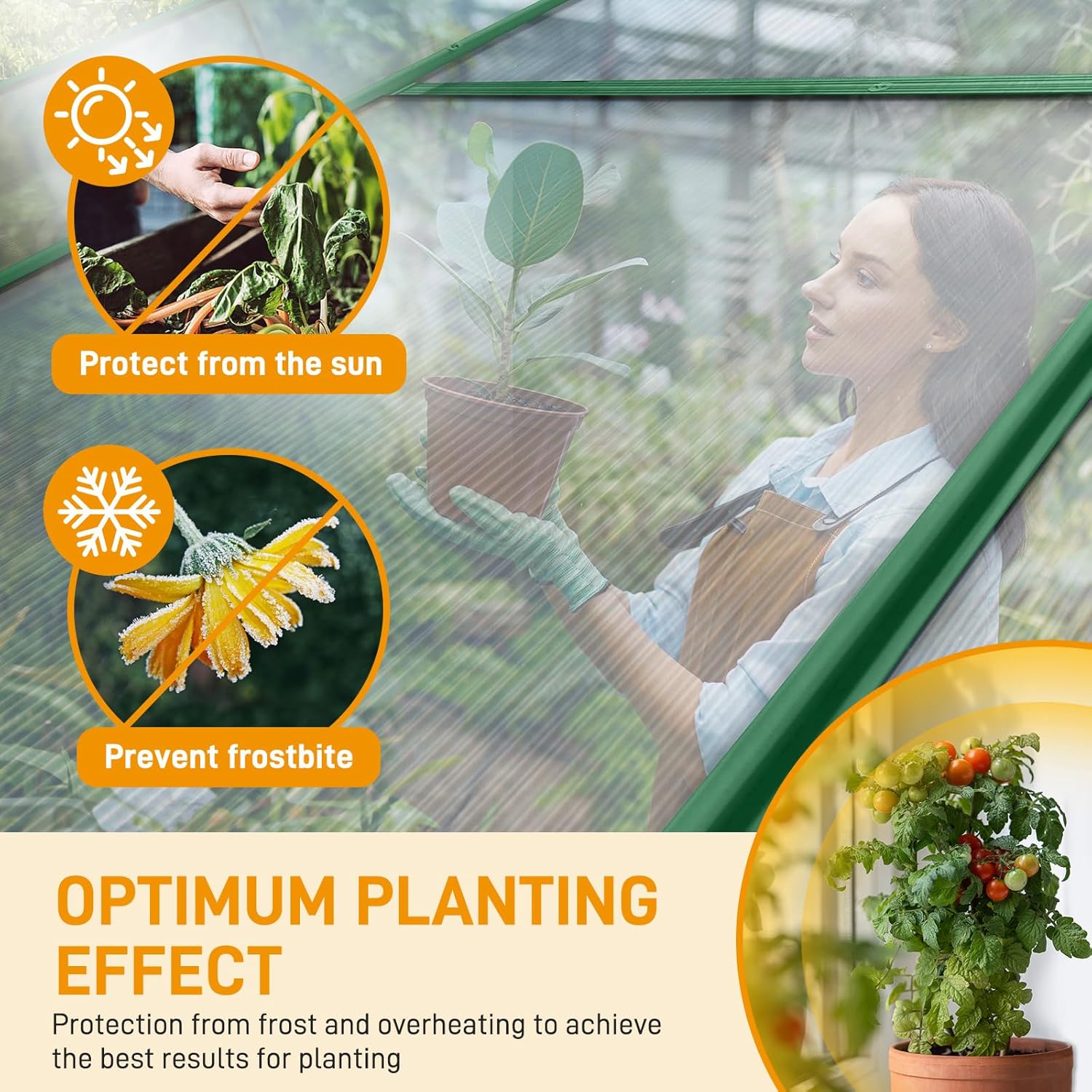 VINGLI 6x10 FT Greenhouse for Outdoors, Twin-Wall Translucent Heavy Duty Polycarbonate Greenhouse Kit with 5 Roof Vents, Weather Resistance for Plants Protection, for Home Gardening (Green, 6x10 FT)
