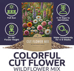 Cut Flower Garden Seeds - Bulk 1/4 Pound Bag - Over 30,000 Fresh Open Pollinated Non-GMO Wildflower Seeds - Long Lasting Annuals and Perennials with Bright Colors