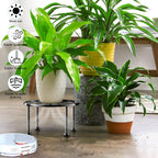Garden Gifts Plant Lovers Gifts Black Metal Plant Stand with Anti-Slip Base Rustproof Heavy Duty Decorative Round Flower Stand Display Shelf for Indoor/Outdoor