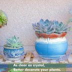 Plant Saucer 15 Pack Plant Trays for Pots 8/10/12 Inch Plastic Plant Saucers for Outdoors and Indoors Clear Drip Trays for Potted Plants Flower Pot Plates to Catch Water Plant Drainage Dishes No Holes