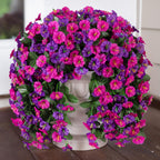 HyeFlora Artificial Fake Hanging Flowers Plants for Outdoor Outside, 2PCS Faux Silk Morning Glory Trailing Vines UV Resistant Look Real for Home Planter Porch Patio (Dark Purple and Fuchsia)