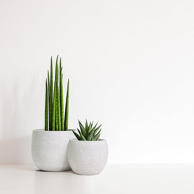 Olly & Rose Barcelona Ceramic Plant Pot Set 2 - White Flower Pots - Indoor & Outdoor Planters (White)