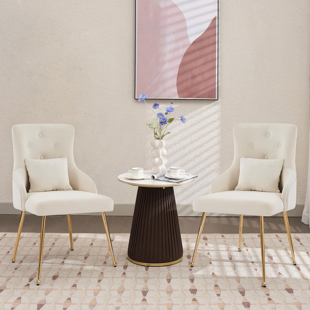 Velvet Dining Chairs Set of 2, Upholstered Velvet Accent Chairs, Kitchen Chair with Metal Legs & Lumbar Pillow for Dining/Living Room/Vanity
