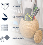 happimess SSL1000A Colt 17" Coastal Bohemian Handwoven Hyacinth Storage Stool with Lid for Storage and Decoration in Bedroom, Living Room, Kitchen, Dining Room, Entryway, Guestroom, Natural | Bohemian Rustic Wicker Basket, End Table For Living Room