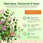 Outsidepride Perennial Clover King Seed Mix - 40 lbs Nitrocoated, Inoculated, Heat & Cold Tolerant, Alfalfa-Enhanced Food Plot Seeds for Deer & Wildlife, Ideal for Spring, Summer, & Winter Plots