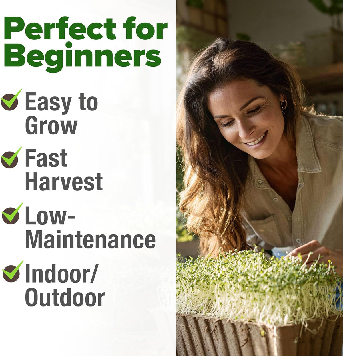 HOME GROWN 𝗨𝗦𝗔 𝗣𝗥𝗘𝗠𝗜𝗨𝗠 Alfalfa Sprout Seeds 16oz Bulk Pack with Thousands of Seeds 𝗡𝗢𝗡-𝗚𝗠𝗢 Alfalfa for Sprouting & Microgreens Indoor Outdoor Growing Resealable Bag High Germination
