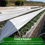 Farm Plastic Supply - White Greenhouse Plastic Sheeting - 6 mil - (32' x 50') - 4 Year UV Resistant Poly Greenhouse Film, 55% Light Transmission Hoop House Cover for Gardening, Agriculture