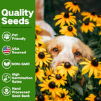 Lush&Dew Pet-Friendly Heirloom Seed Bank, Gardening Gifts for Women Men, 16 Varieties 15,000+ Non-GMO Seeds for Planting Herbs Flowers Vegetables in Raised Bed Windowsill, Annuals & Perennials