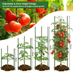 CEWOR 3 Pack Extra Tall Tomato Cage, 63 Inch Adjustable Tomato Trellis | Large Tomato Cages for Garden, Plant Cages Structure Triangle Stakes for Raised Garden Bed, Climbing Plants Outdoor