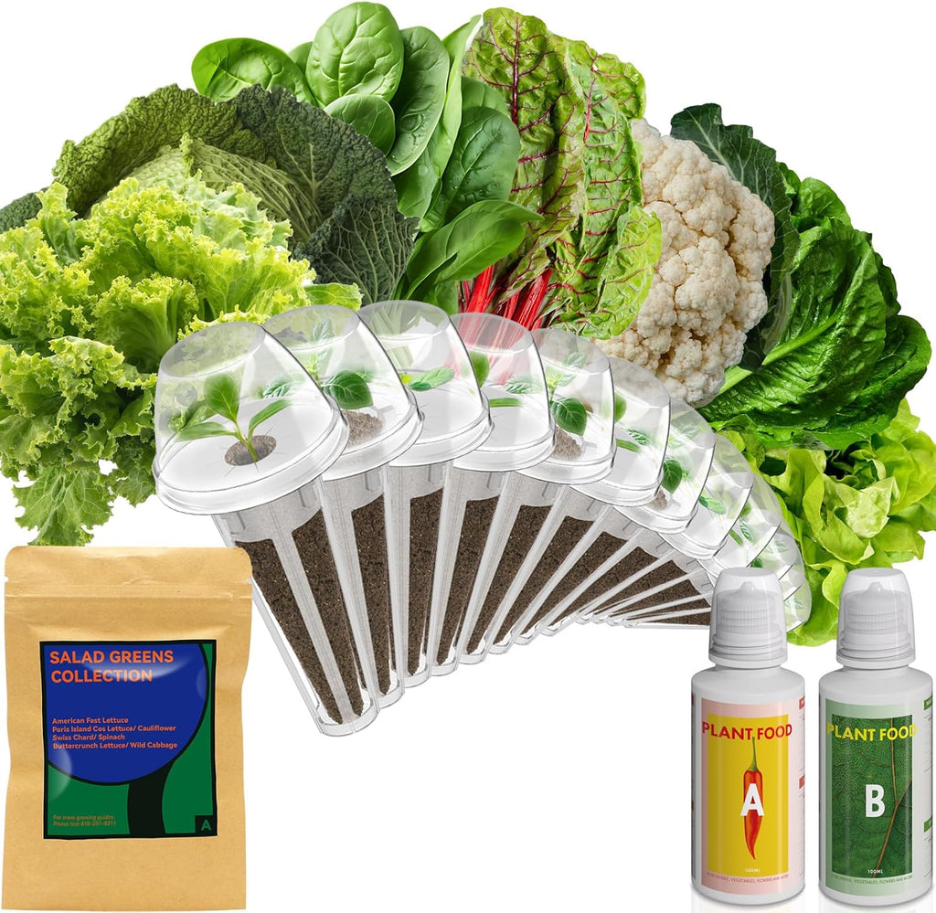 inbloom Salad Green Seed Pod Kit for AeroGarden, Ahopegarden, GARDENCUBE, MUFGA, 12 Pods (350+ Seeds with American Fast/Paris Island/Buttercrunch Lettuce, Swiss Chard, Spinach, Cauliflower, Cabbage)
