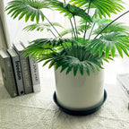 Plant Saucers 12 Inch (12.7 Inch) Plant Trays, Durable Round Glazed Ceramic Flower Plant Water Drip Tray for Pots Planter