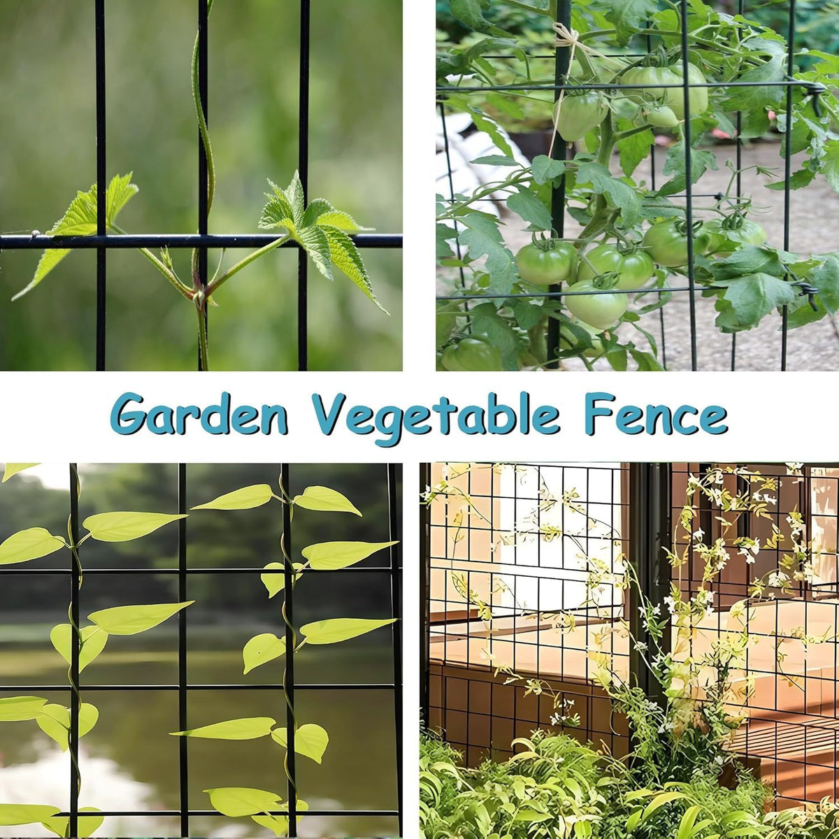 Black Metal Garden Fence, 48inch(H) x 100ft(L), 2 inch x 4 inch,12.5GA 2/3/4/5/6 Ft Tall Chicken Wire PVC Coated Welded Wire Mesh Roll for Dogs Border Yard Vegetable Plant Protection Poultry Netting