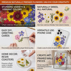 Dried Flowers for Resin, 106pcs Natural Flowers and Leaves Compressed | Vacuum Packed DIY Pressed Flowers for Epoxy, Jewelry, Candles, Soap, Nail Production