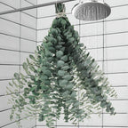 11 PCS Real Dried Eucalyptus Stem for Shower & Bathroom Decor - 17'' Large Natural Fresh Eucalyptus Leaves Hanging Plants, Shower Stuff Green Home Vase Decor, DIY