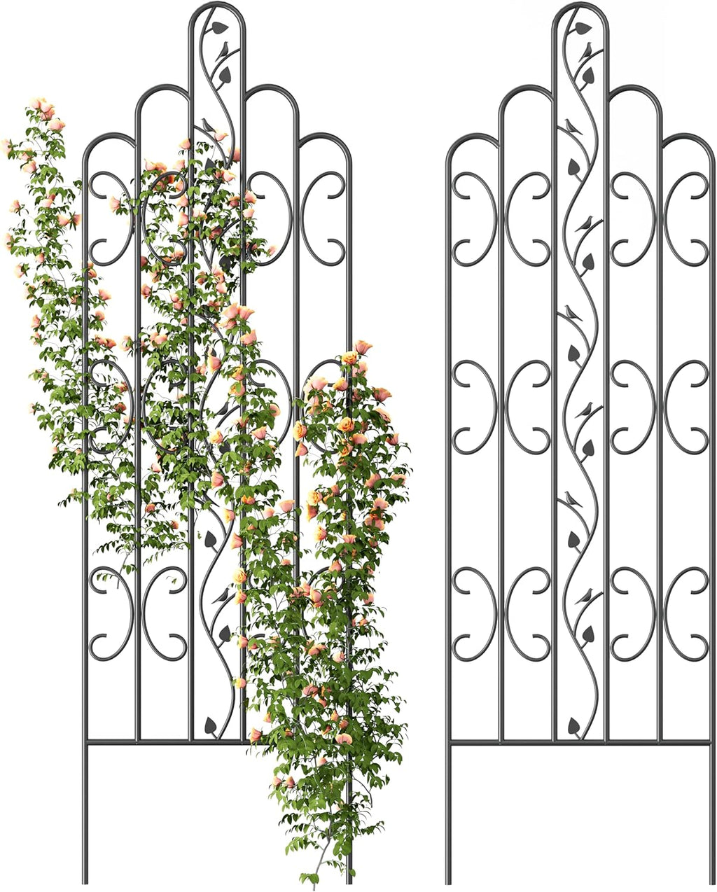 Idzo 71 in. Decorative Metal Trellis for Climbing Plants Outdoor, Heavy-Duty Steel Garden Trellis with Durable Powder Coating, Black Bird Pattern