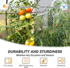 12x50 Ft Clear Greenhouse Film Plastic Sheeting, Greenhouse Polyethylene Plastic Film 6 mil Thickness Replacement Cover, UV Resistant, Plant Covers Freeze Protection for Windproof Frost& Dust Proof