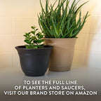 The HC Companies Sierra Round Self-Watering Pot - Lightweight Plastic Planter for Herbs & More - Durable Plant Pots for Indoor Plants & Outdoor Plants (7.5” Arizona Sand, Pack of 1)