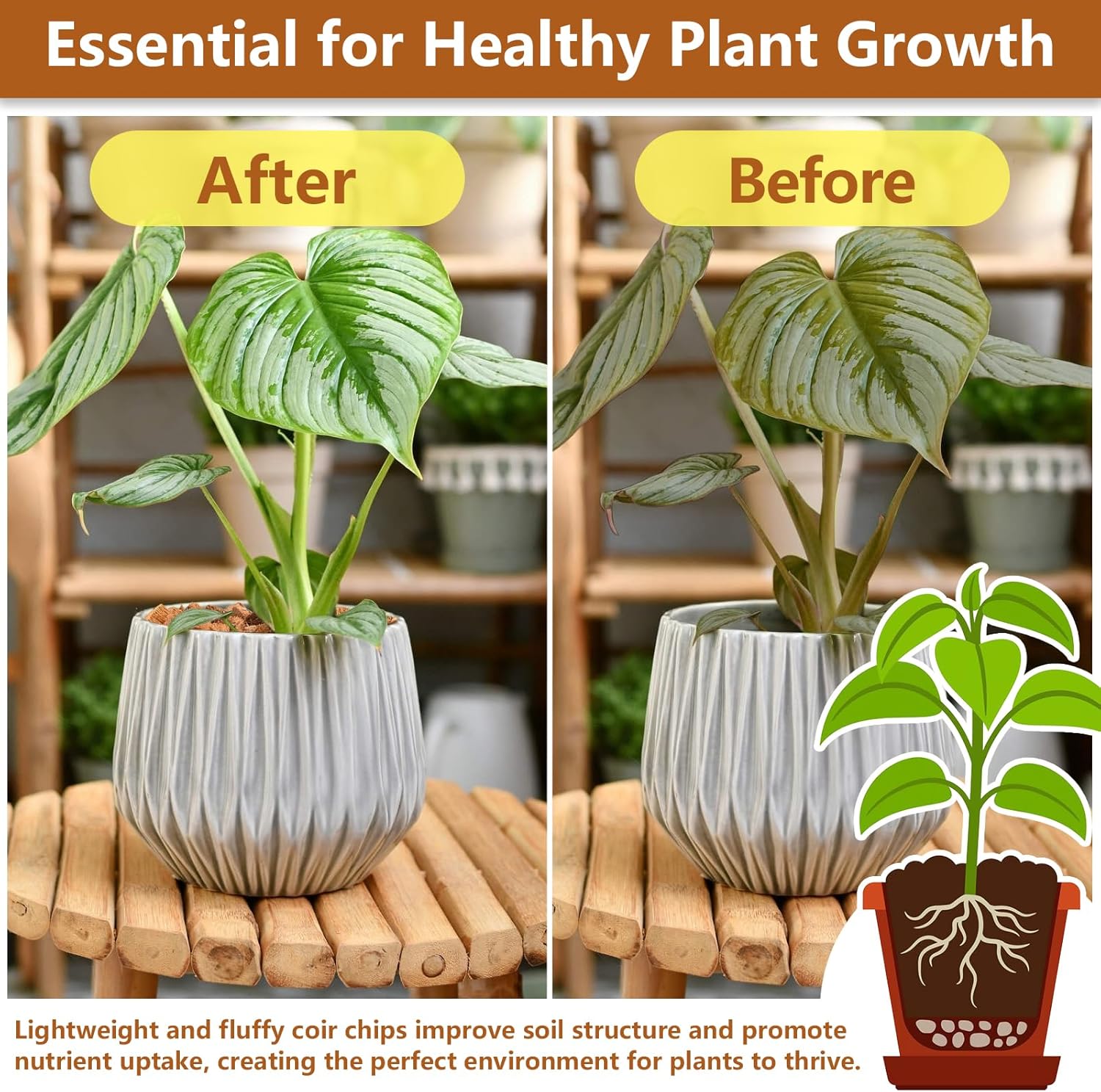 Legigo 10 Pack Coco Husk Chips- 11 LB 100% Organic Coconut Coir Chips Brick Potting Soil Mix with Low EC & PH Balance, Compressed Coconut Substrate Coco Chips Mulch Medium for Garden, Flowers, Plants