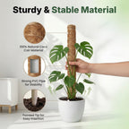 4 Pack 16" Moss Pole Monstera Plant Support - Stackable up to 48" - Plant Stakes for Indoor Climbing Plants Potted - Tall Coco Coir Pole Sticks & Accessories for Monstera, Pothos & Philodendron