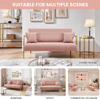 Yaheetech 56.5" Smal Sofa 2 Seater Couch with Gold-Tone Legs, Pink | Small Sofa Loveseat Velve 2 Seater Couch with Tufted Back Gold Metal Frame 2 Pillows for Office, Studio,Living Room