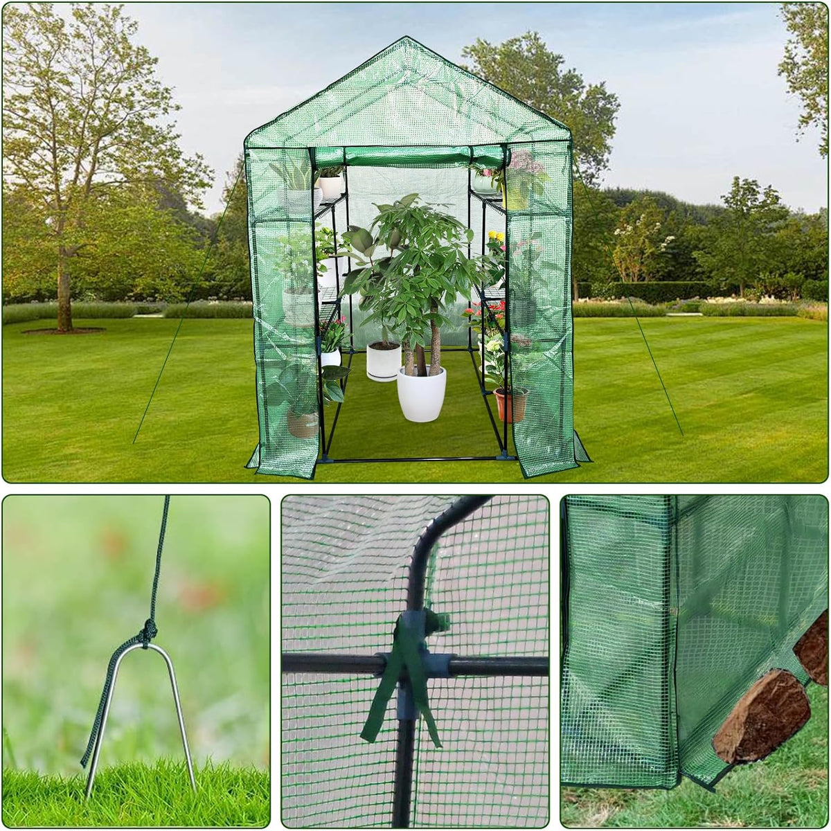 Greenhouse for Outdoors,Walk in 3-Tier 6 Shelves Green House w/ Roll-Up Zippered Door Anchors and Ropes,Waterproof & UV Protected Plant Garden Hot House for Garden Patio Backyard,57 x 57 x 76''