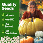 HOME GROWN 𝗨𝗦𝗔 𝗣𝗥𝗘𝗠𝗜𝗨𝗠 5 Pumpkin Seeds Mix - 40 Seeds 𝗡𝗢𝗡-𝗚𝗠𝗢 Heirloom Pumpkin for Planting Ideal Garden for Unique Varieties Yellow Paris and Casper, Culinary and Decorative Use