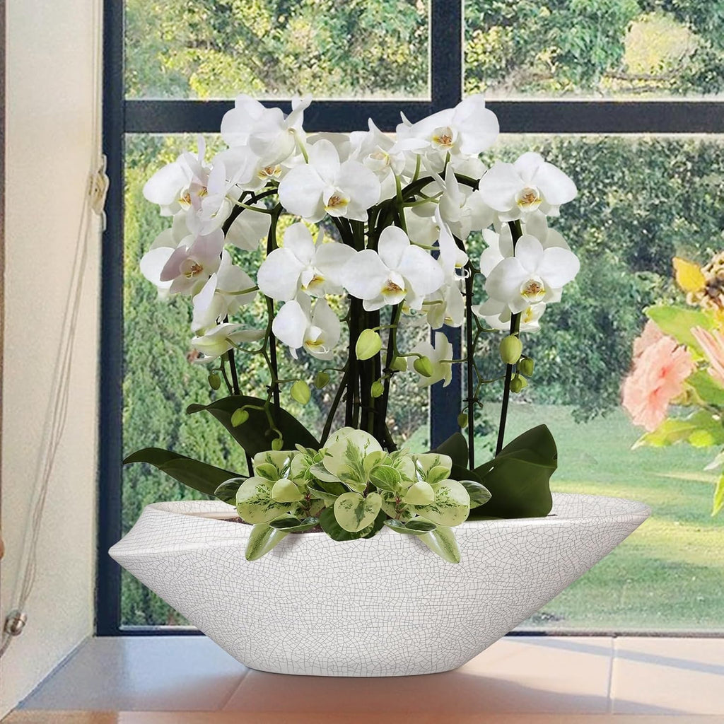 Bonsai Pots - 18 Inch Ceramic Plant Pot for Bonsai Tree, Modern Indoor & Outdoor Succulent Planter with Drainage, Room Decor, Gifts for Plant Lovers, White-Black