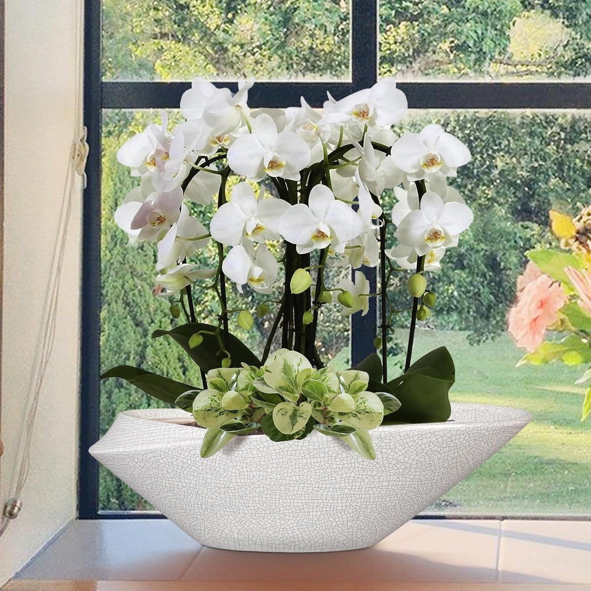 Bonsai Pots - 18 Inch Ceramic Plant Pot for Bonsai Tree, Modern Indoor & Outdoor Succulent Planter with Drainage, Room Decor, Gifts for Plant Lovers, White-Black