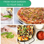 Woods Creek Seeds: Jalapeño TAM Hot Pepper Seeds for Planting - Over 180 Heirloom Non-GMO Jalapeno Seeds for Planting - Beginner Friendly Jalapeno Pepper Seed Pack for Indoor, Outdoor & Home Garden