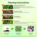 Outsidepride Purple Top Turnip Seeds - 50 Lbs High-Yield, High Protein Turnip Seed, Ideal Cover Crop, for Forage, Grazing Livestock, High Energy Deer Food Plot & Soil Improvement