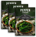 Mexican Serrano Pepper Seeds for Planting | Fresh Hot Chili & Green Hot Pepper Seeds – Heirloom Non-GMO Variety for Sauce, Salsa & Pickling – Survival Garden Seeds (3 Packs)