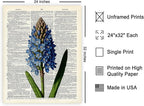 Poster Master Dictionary Art Poster - Blue Hyacinth Print - Flower Art - Floral Art - Gift for Men, Women & Florist - Minimal Decor for Bedroom, Office, Dorm or Flower Shop, 24x32 Unframed Wall Art