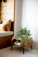 Briful Faux Plants Indoor 17.7in Fake Watermelon Peperomia Plant in Gold Pot with Realistic Silk Green Leaves Artificial Potted Plant for Home Office Table Shelf Desk Modern Room Decor