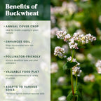 Nature’s Seed Common Buckwheat Seeds for Planting, Wildlife Food Plot, Cover Crop, Green Manure, Pasture, 5 Lbs