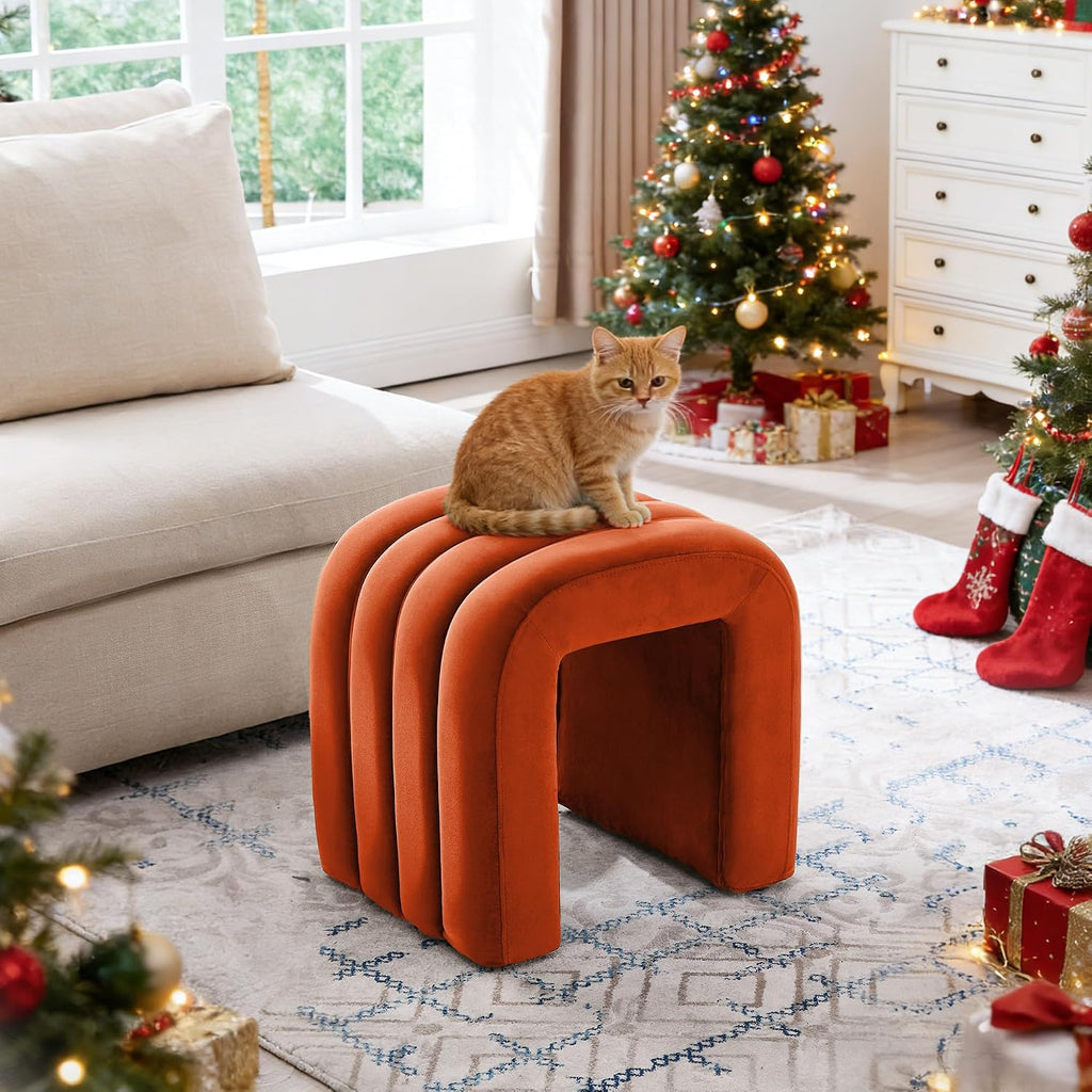 Multi-Functional Ottoman Stool Set of 2, Footrest for Couch, Modern Vanity Stool for Make-up Room, Living Room and Entryway, Small Cute Footstool (Rust Velvet)