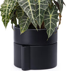 Phoenix Vine 8 Inch Self-Watering Planter Pot with Terracotta Insert, Deep Water Reservoir, and Ceramic-Alike BPA-Free Plastic Planter Pot for Plant, Modern Planter for Houseplants, Black, 53-A-T-2